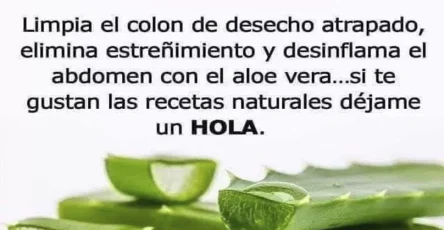 Portada3