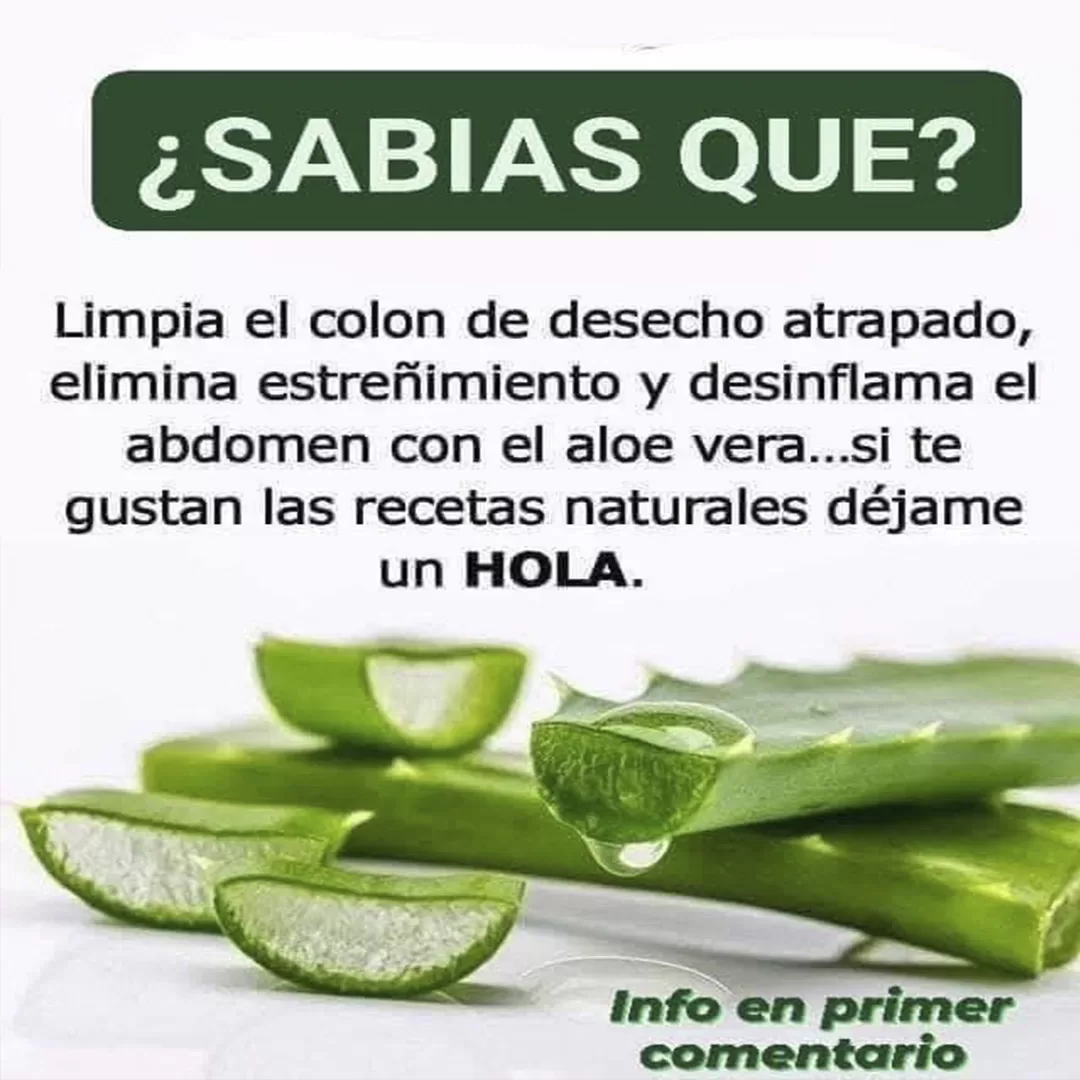 Portada3