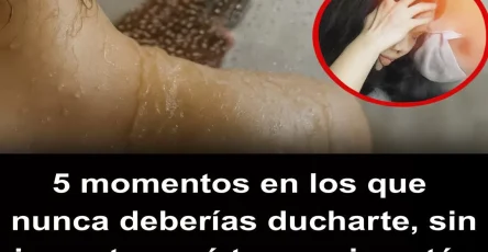 Portada6