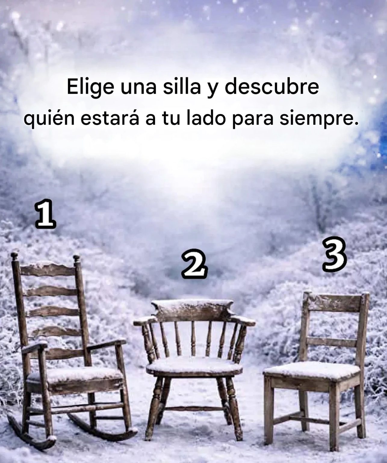 IMG 0252 1286x1536