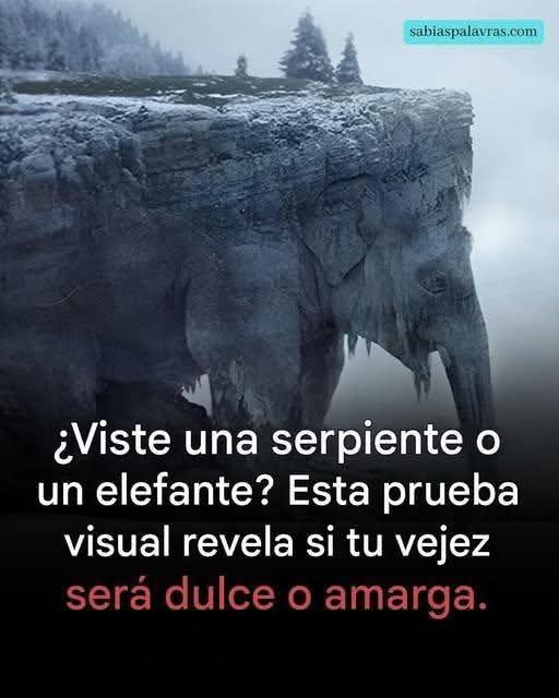 WhatsApp Image 2026 08 09 at 20.18.39